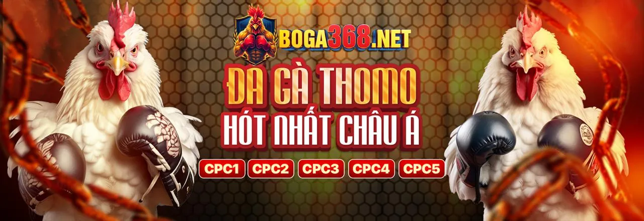 Giao diện người dùng thân thiện của King Bet trên cả máy tính và di động